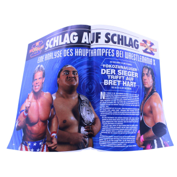 WWF Magazin Nr. 11 (1995) | Dino Verlag | Bret Hart, Undertaker & SummerSlam | Wrestling SammlerstückWWF Magazin Nr. 4 (1994) | Dino Verlag | Jeff Jarrett, Bret & Owen Hart, WrestleMania Highlights